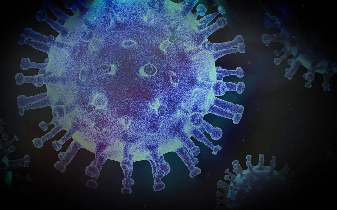 The sporting goods industry severely affected by the COVID-19 crisis