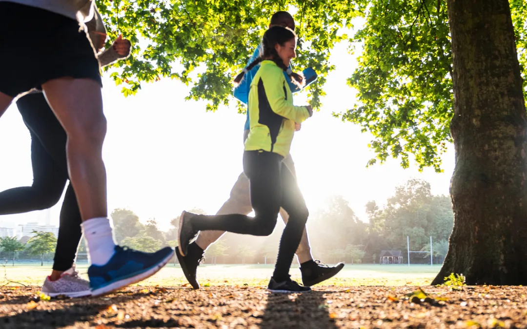 FESI Welcomes Adoption of New EU Work Plan for Sport and Emphasises Need for Inclusivity and Collaboration