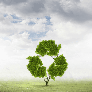 website pictures 300x300 (1)