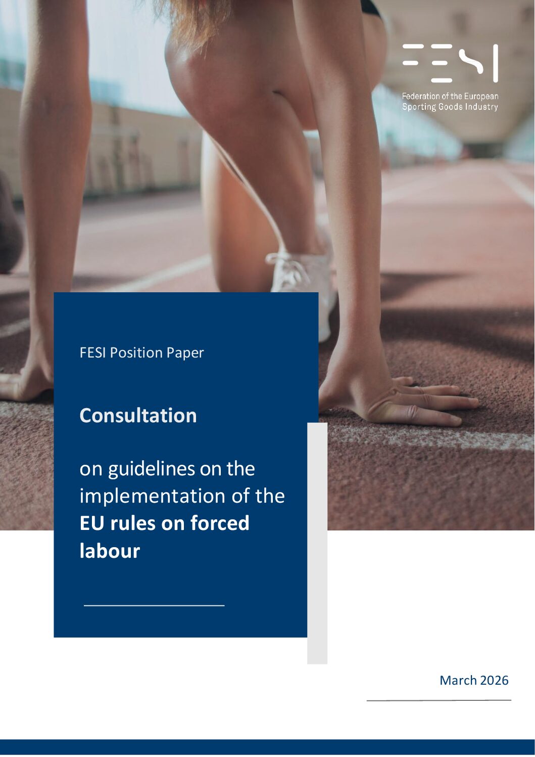 fesi position paper on flr guidelines march 2026