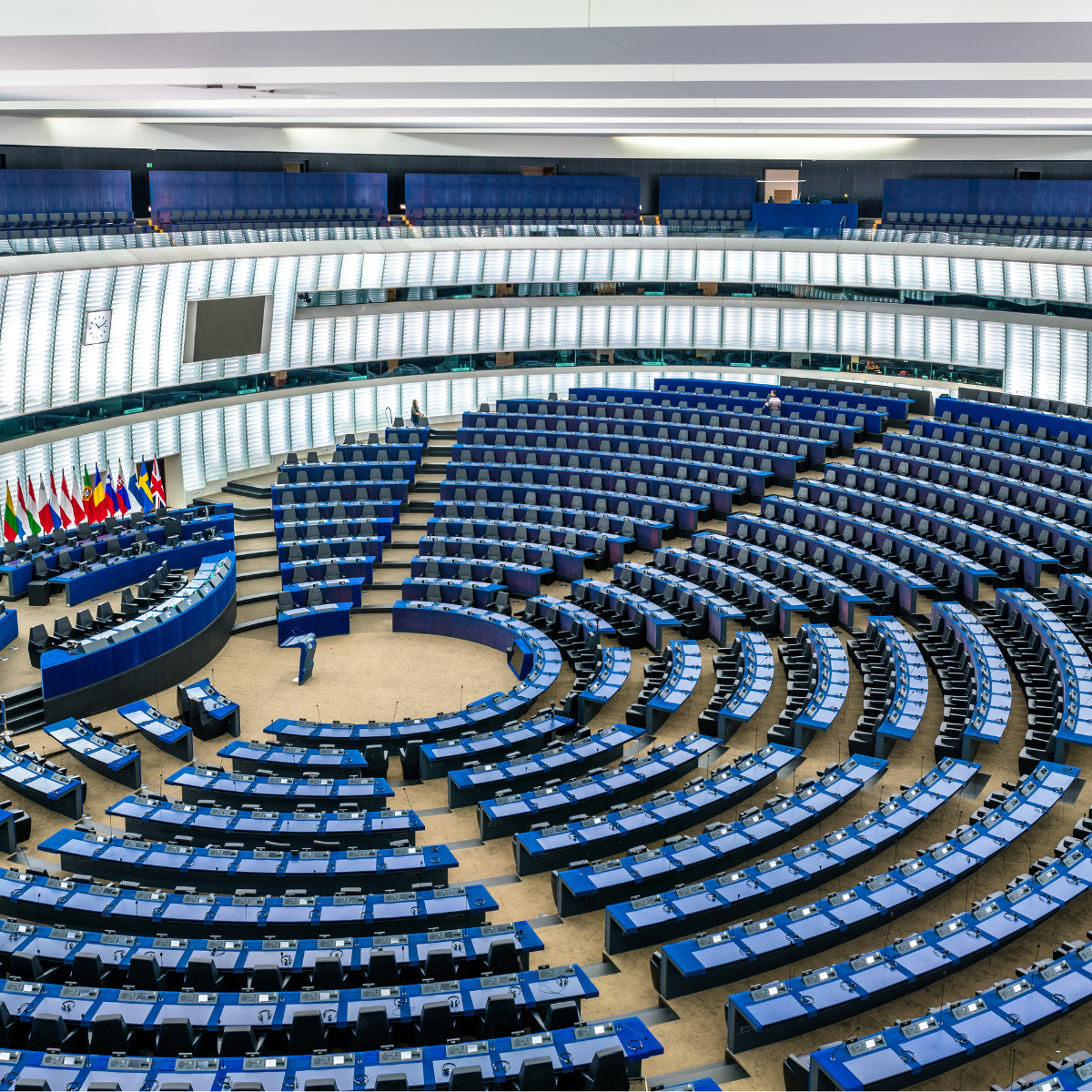 FESI welcomes European Parliament plenary backing for stronger investment in sport through Erasmus+